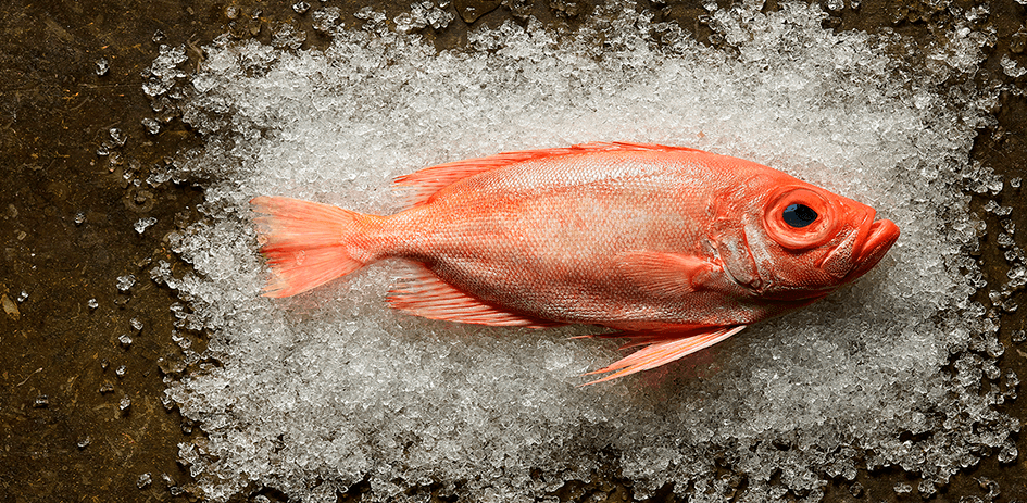 A quarter century experience